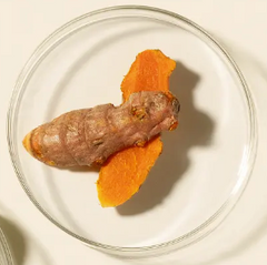 Turmeric Root